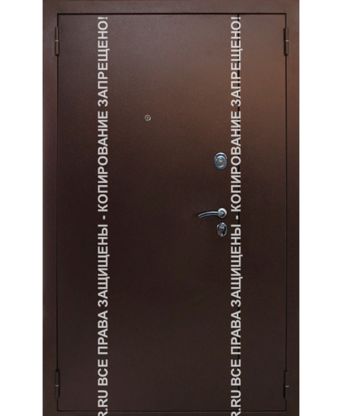 Металлическая двустворчатая дверь Порошок 1111 Металлическая двустворчатая дверь Порошок 1111