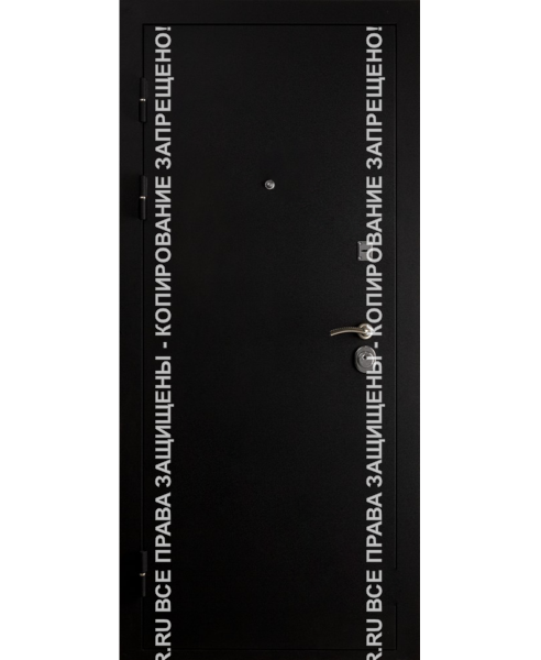 Дверь входная на дачу Порошок 3068 Дверь входная на дачу Порошок 3068